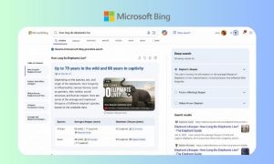 Sobre un fondo degradado azul se muestra una captura de pantalla del buscador de Microsoft Bing en el que se ha introducido la consulta "cuánto viven los elefantes" y, gracias a la búsqueda generativa, se ha creado una muestra de información completa