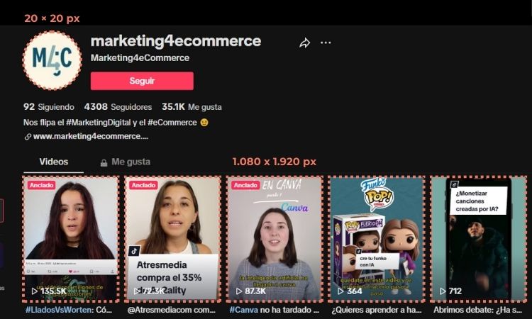 Captura de pantalla del perfil de M4C en TikTok en la que se muestran enmarcadas las distintas imágenes que la componen y se señalan sus medidas. Imagen de perfil (20x20 px) y tamaño de vídeos (1.080x1.920px).