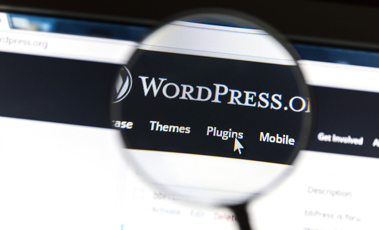 Wordpress.com Vs Wordpress.org: ¿En qué se diferencian?